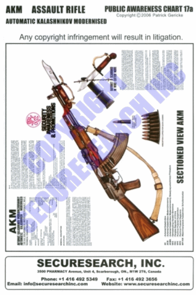 The AKM Assault Rifle